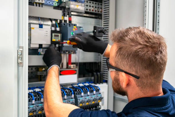 Best Home Electrical Repair  in Durand, WI