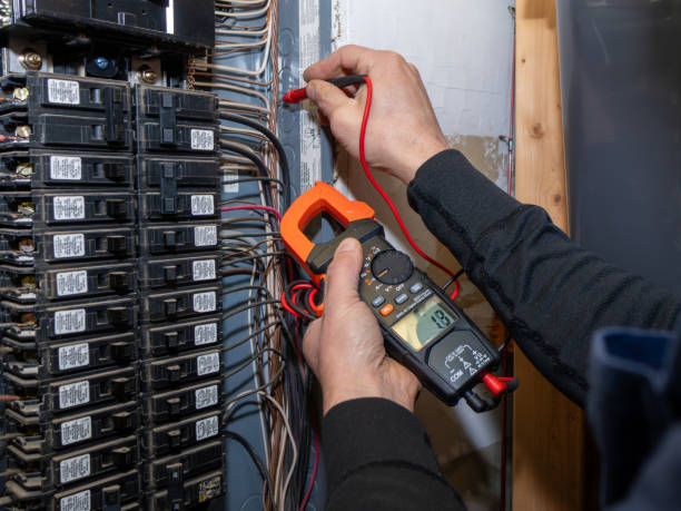 Best Local Electrician Companies  in Durand, WI